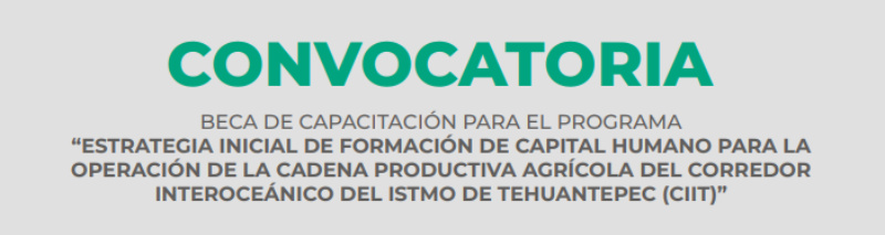 Imagen de Beca de capacitación para el programa Estrategia Inicial de Formación de Capital Humano para la Operación de la Cadena Productiva Agrícola del Corredor Interoceánico del Istmo de Tehuantepec (CIIT) - Elisa Acuña, 2021