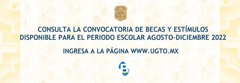 Estímulo de Investigación y Vinculación - Universidad de Guanajuato, 2022 (agosto-diciembre)