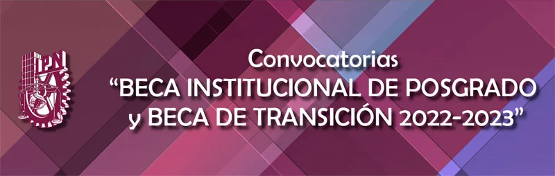Imagen de Beca Institucional de Posgrado (Beca tesis) - Instituto Politécnico Nacional, IPN, 2022-2023
