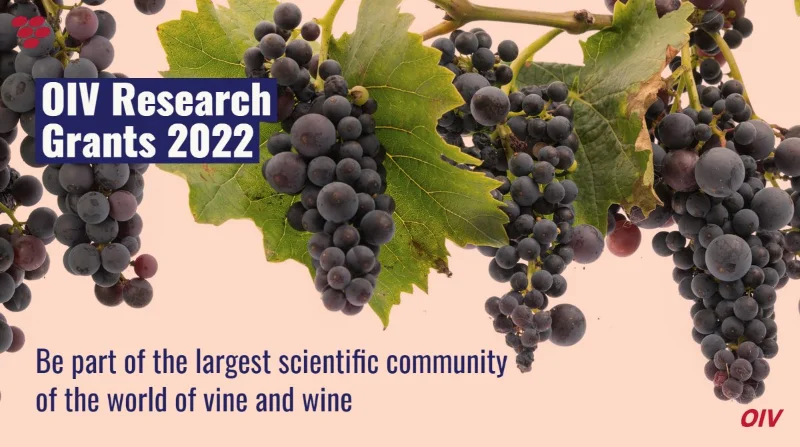 Beca de Investigación de la Organización internacional de la viña y el vino, OIV , 2022