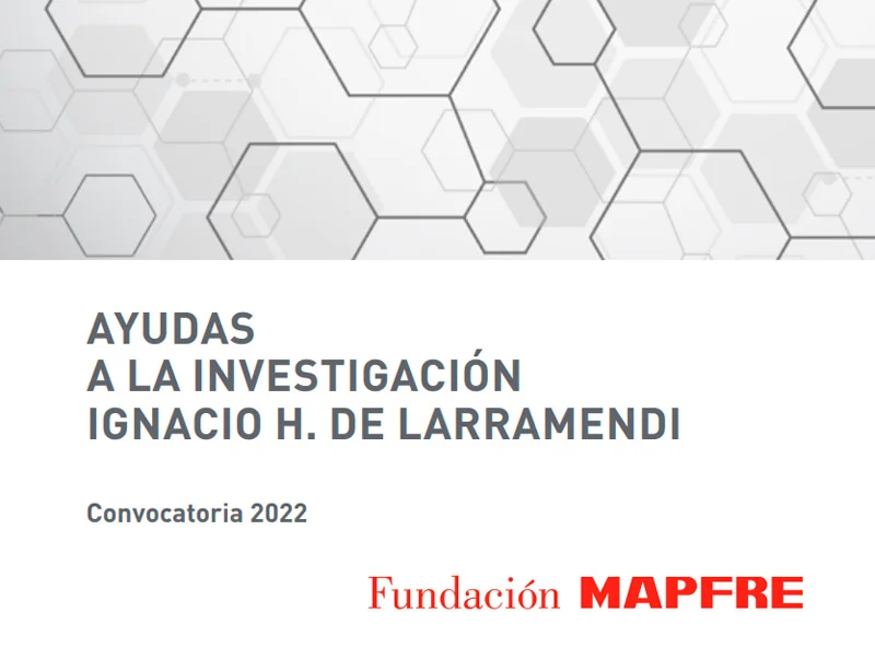 Becas para investigación Ignacio Larramendi, 2022