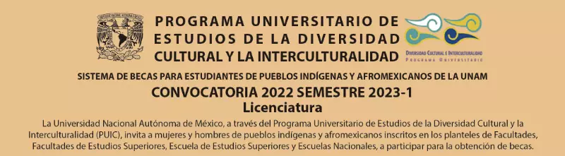 Becas UNAM para estudiantes de pueblos indígenas y afromexicanos (SBEI) - Licenciatura, 2023-1
