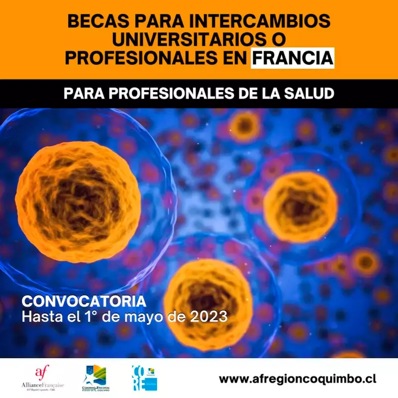 Becas para profesionales de salud de la Región de Coquimbo en Francia, 2023