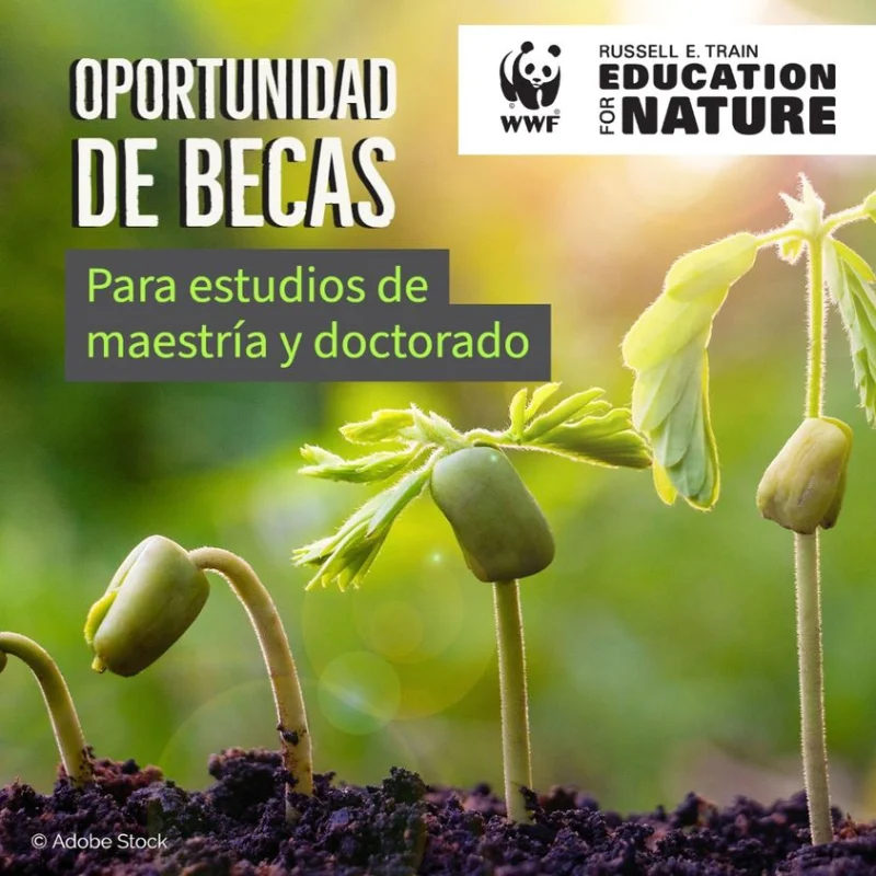 Becas Russell E. Train Fellowships, del World Wildlife Foundation, WWF, 2023