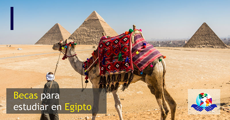 Becas en Egipto