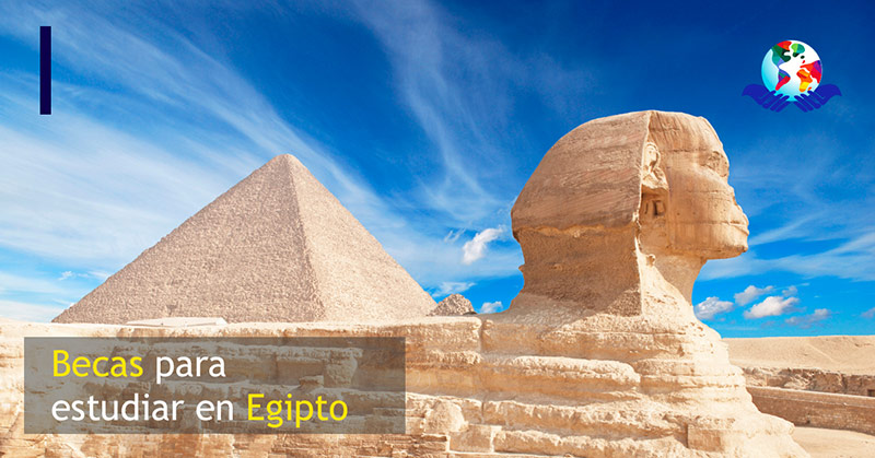 Becas en Egipto