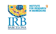 Imagen con el logotipo de Instituto de Investigación Biomédica de Barcelona - IRB